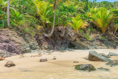 Bahia Itacarezinho sahilde muhteşem yeşil doğa