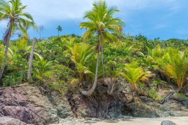 Bahia Itacarezinho sahilde muhteşem yeşil doğa