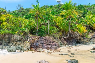 Yaz tatili yaz plaj sahne tropik cennet 