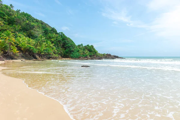 Increíble naturaleza verde en la playa de Itacarezinho — Foto de Stock