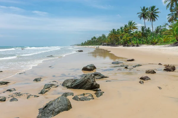 Itacarezinho Plajı'nda muhteşem yeşil doğa