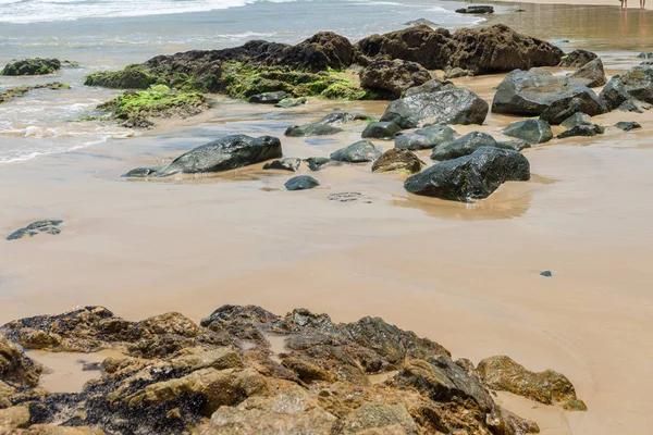 Bela Praia Natureza Perto Itacare Bahia Brasil — Fotografia de Stock