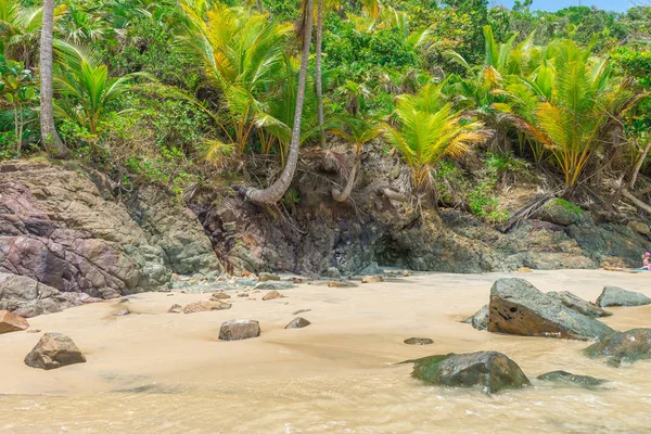 Bahia Itacarezinho sahilde muhteşem yeşil doğa