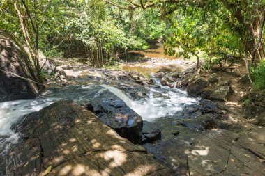 Şelale ve açık yeşil orman akışında