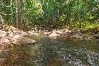 Doğa şelale ve akış Itacare Bahia Brezilya ile
