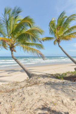 Itacare Bahia Eyalet Brezilya kuzeydoğu, muhteşem ve etkileyici Cennet plaj