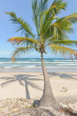 Itacare Bahia Eyalet Brezilya kuzeydoğu, muhteşem ve etkileyici Cennet plaj