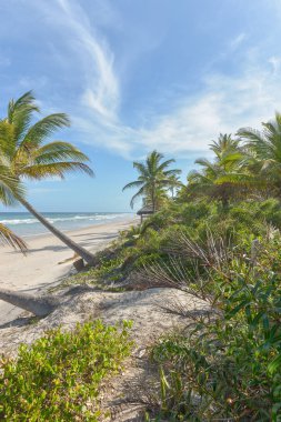 Itacare Brezilya Bahia State yakınındaki kıyılarına şaşırtıcı görünümü