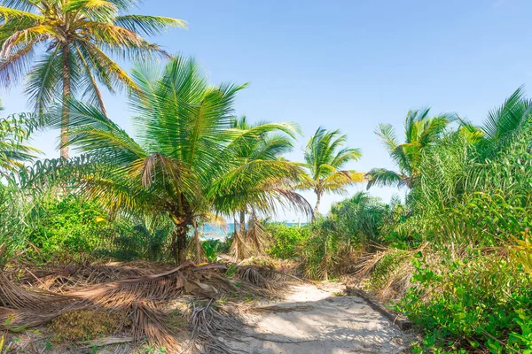 Itacare Brezilya Bahia State yakınındaki kıyılarına şaşırtıcı görünümü