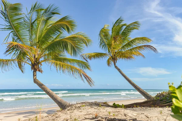 Itacare Brezilya Bahia State yakınındaki kıyılarına şaşırtıcı görünümü