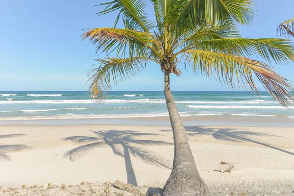 Itacare Brezilya Bahia State yakınındaki kıyılarına şaşırtıcı görünümü