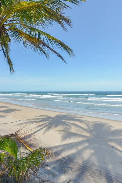 Itacare Bahia Eyalet Brezilya kuzeydoğu, muhteşem ve etkileyici Cennet plaj