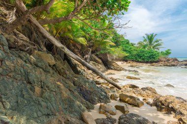 Bahia Itacarezinho sahilde muhteşem yeşil doğa