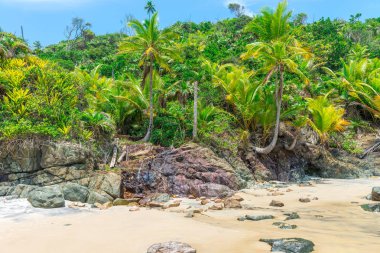 Yaz tatil yaz plaj sahne tropik cenneti tatile sahil surfboards kum üzerinde