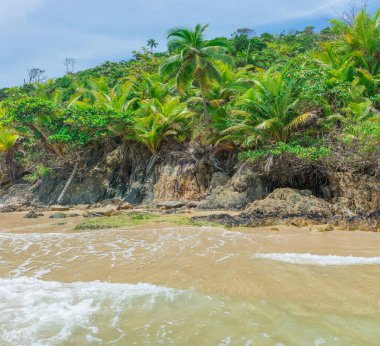 Yaz tatil yaz plaj sahne tropik cenneti tatile sahil surfboards kum üzerinde
