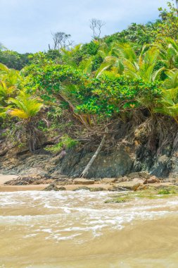 Yaz tatil yaz plaj sahne tropik cenneti tatile sahil surfboards kum üzerinde