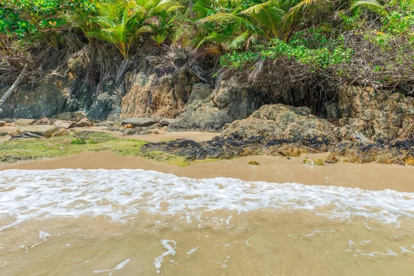 Yaz tatil yaz plaj sahne tropik cenneti tatile sahil surfboards kum üzerinde