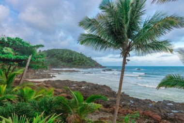 etkileyici Cennet plaj Itacare Bahia Brezilya 