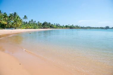 Brezilya Güney Bahia, Barra Grande Beach Yarımadası de Marau adlı doğal havuzlarda