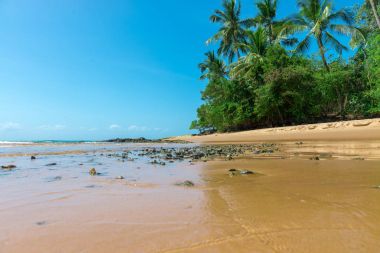 Plajda güzel manzaralar soyut ve doku formları