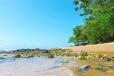Su formları ve etkileri tüm sahil kumu