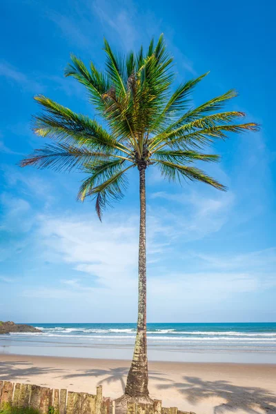 Удивительный Вид Пляжи Вблизи Итакаре Штате Бахия Бразилии — стоковое фото