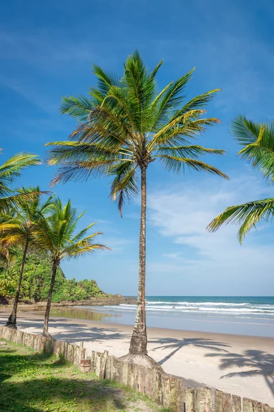 Espetacular Impressionante Praia Paradisíaca Itacare Bahia Brasil Nordeste — Fotografia de Stock