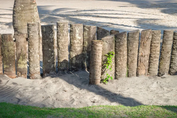 Palm tree kmen dřeva plot na pláži — Stock fotografie