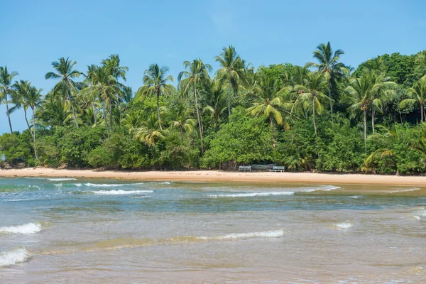 Natuurlijke Poelen Barra Grande Strand Het Schiereiland Marau Zuid Bahia — Stockfoto