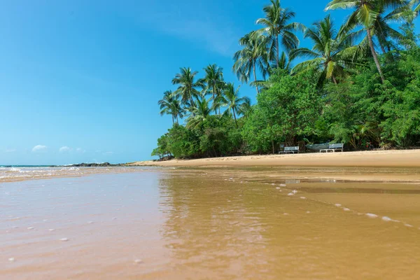 Landschappen Van Het Strand Het Schiereiland Marau Bahia Brazilië — Stockfoto
