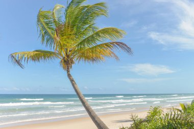 Itacare Brezilya Bahia State yakınındaki kıyılarına şaşırtıcı görünümü