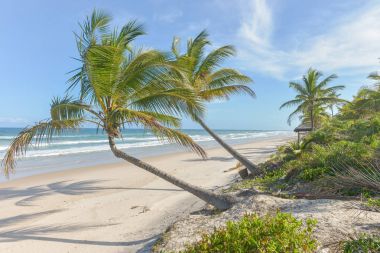 Itacare Bahia Eyalet Brezilya kuzeydoğu, muhteşem ve etkileyici Cennet plaj