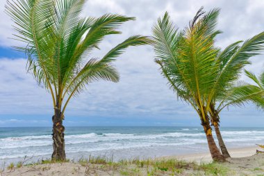 Itacare Bahia Eyalet Brezilya kuzeydoğu, muhteşem ve etkileyici Cennet plaj