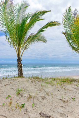 Itacare Brezilya Bahia State yakınındaki kıyılarına şaşırtıcı görünümü