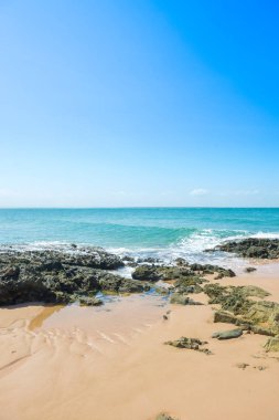 Rüzgar tarafından kurulan dalgalanmalar ile doku plaj kumlu yüzey