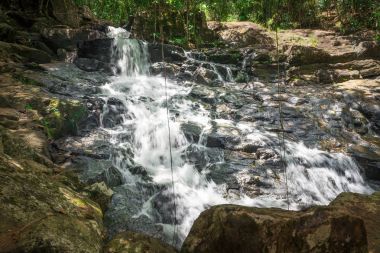 Şelale ve orman Itacare Bahia Brezilya akışında