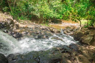 Şelale ve orman Itacare Bahia Brezilya akışında
