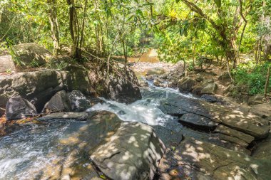 Şelale ve açık yeşil orman Brezilya akışında