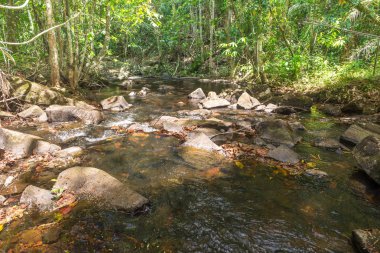 Şelale ve Itacare ormanda akışında 