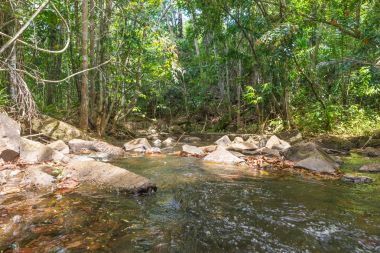 Doğa şelale ve akış Itacare Bahia Brezilya ile