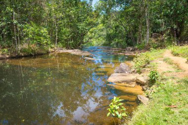 Doğa şelale ve akış Itacare Bahia Brezilya ile