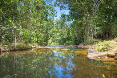 Şelale ve açık yeşil orman Brezilya akışında