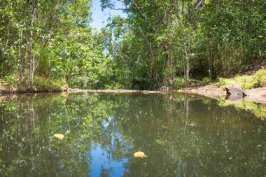 Doğa şelale ve akış Itacare Bahia Brezilya ile