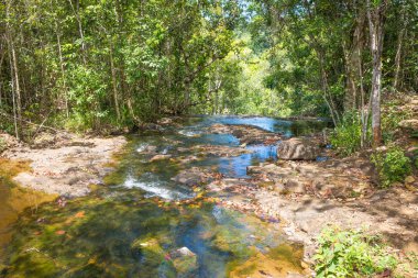 Şelale ve orman Itacare Bahia Brezilya akışında