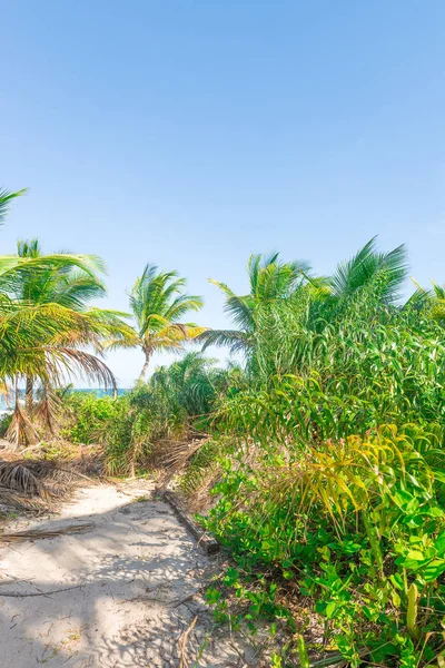 Vista Incrível Das Praias Próximas Itacare Estado Bahia Brasil — Fotografia de Stock