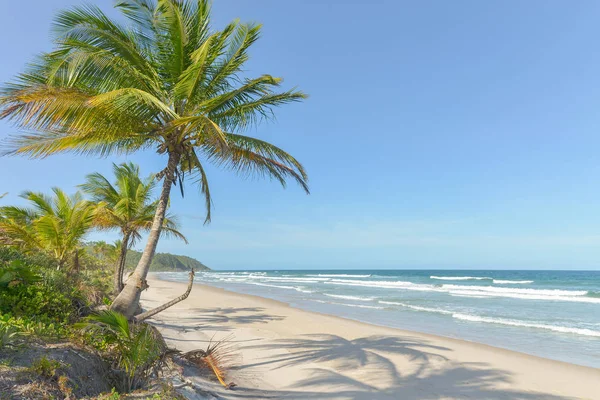 Παραλία Παραντάις Θεαματική Και Εντυπωσιακή Στο Κράτος Itacare Bahia Βραζιλία — Φωτογραφία Αρχείου