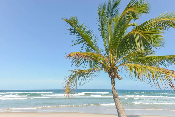 Специфический Впечатляющий Пляж Paradise Бразильском Штате Итакаре Бахия — стоковое фото