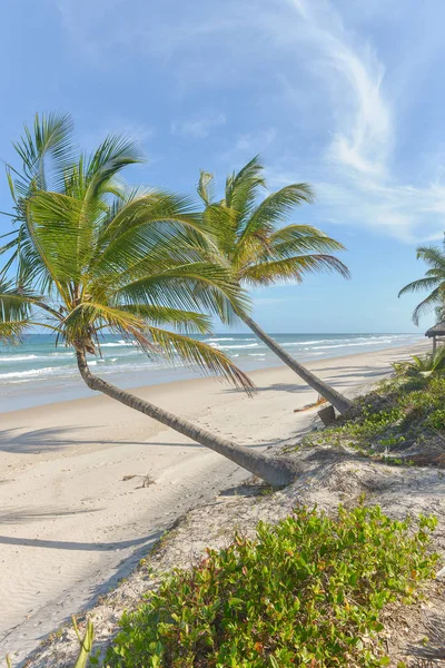 Adembenemend Uitzicht Stranden Buurt Van Itacare Braziliaanse Bahia Brazilië — Stockfoto