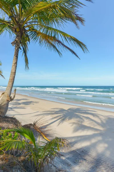 Adembenemend Uitzicht Stranden Buurt Van Itacare Braziliaanse Bahia Brazilië — Stockfoto