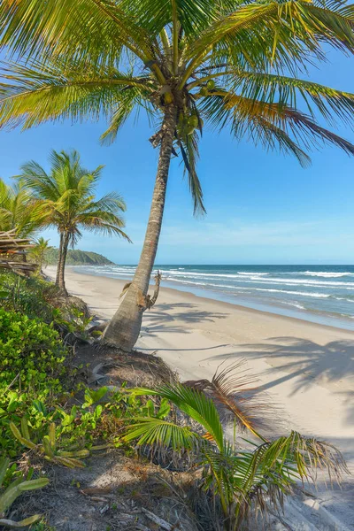 Itacare Brezilya Bahia State yakınındaki kıyılarına şaşırtıcı görünümü